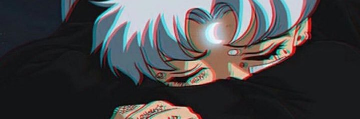 NT banner
