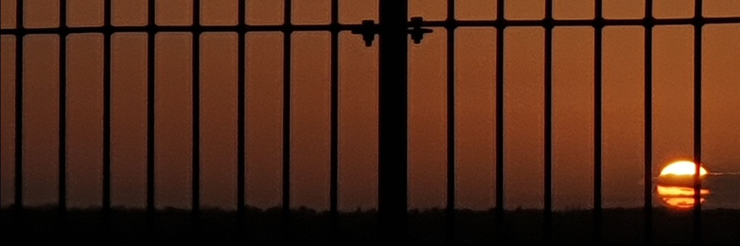 George Draper banner