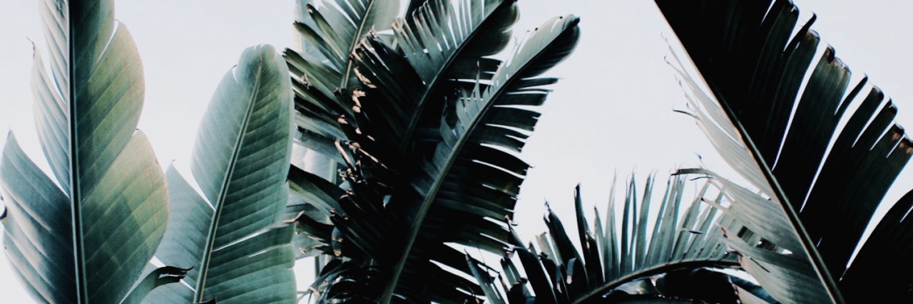 itstamberdi's profile banner image