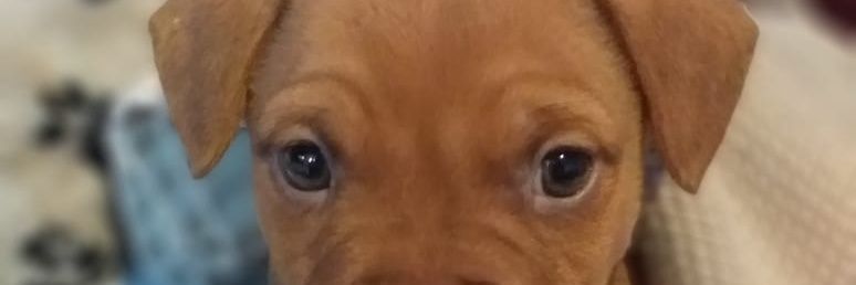 alaanmataderos's profile banner image