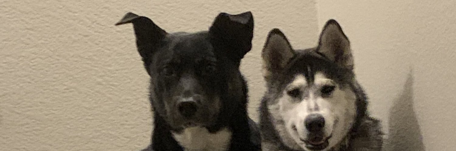 TylerPollett22's profile banner image