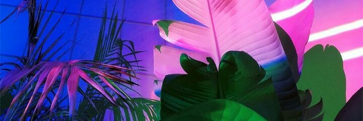 lydiaa_18's profile banner image