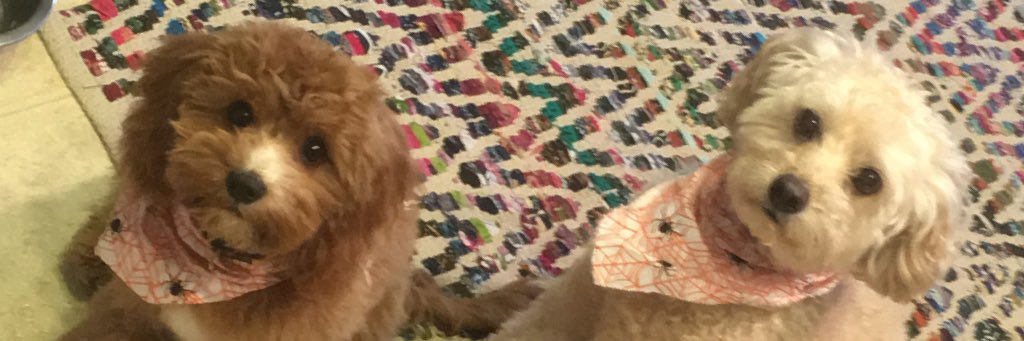 Johnjohn829's profile banner image