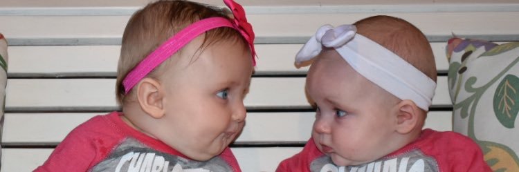 denise_hamm's profile banner image