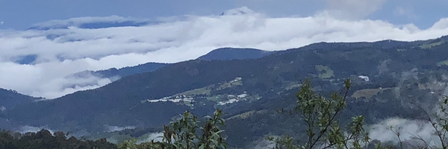 pauloporrass's profile banner image
