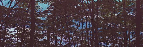 LeoRamlo's profile banner image