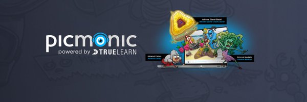 picmonic Profile Banner