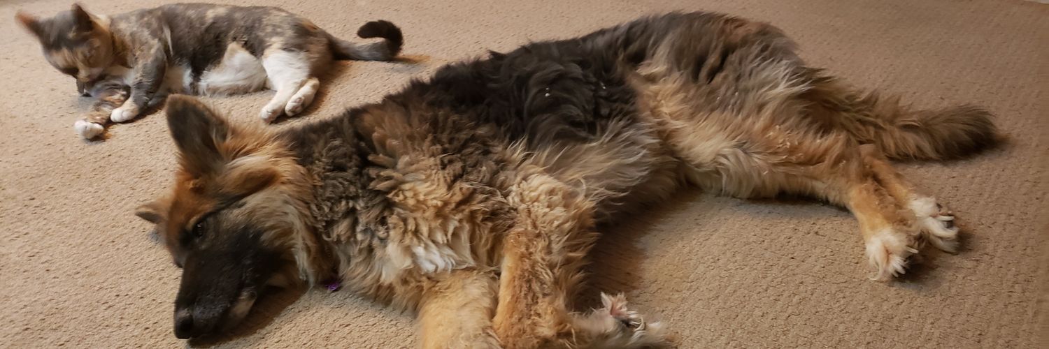 patgalbert's profile banner image