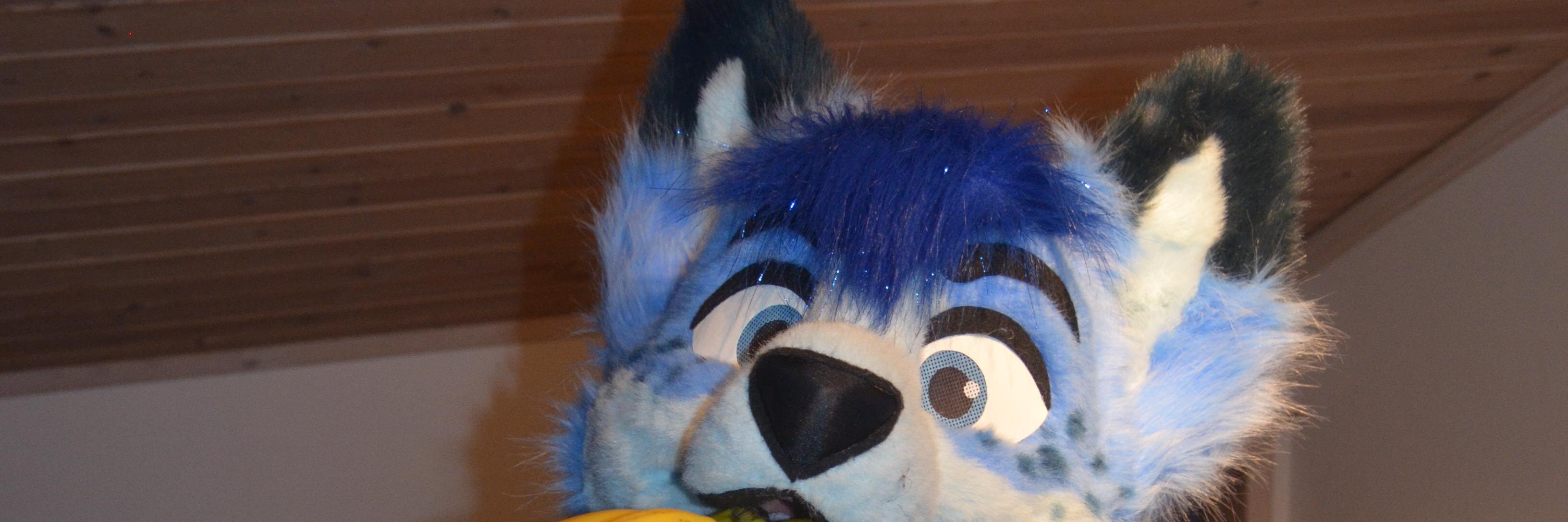 Regandor's profile banner image