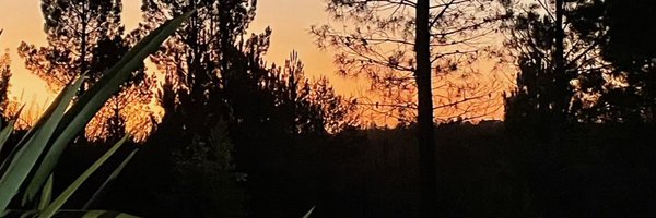 schieritz Profile Banner
