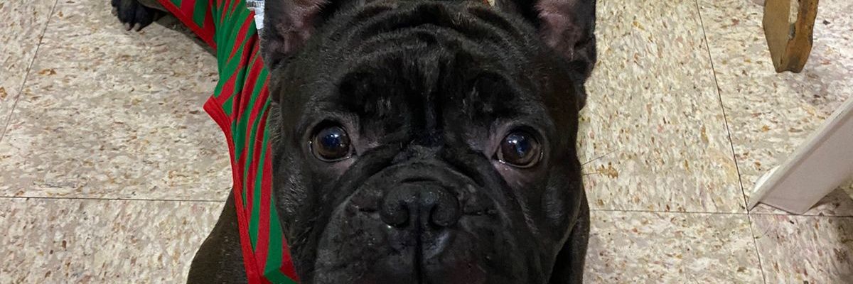 gabrielcoello23's profile banner image