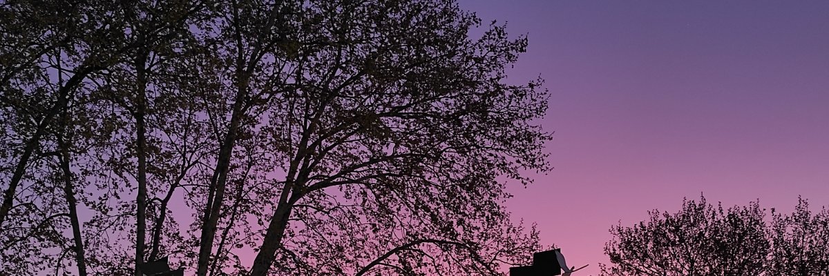 Malena024's profile banner image