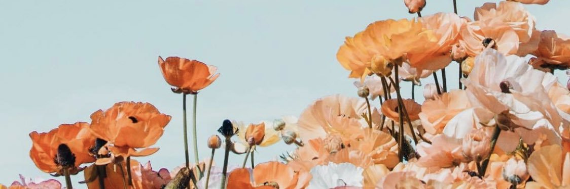 SydneeJo's profile banner image