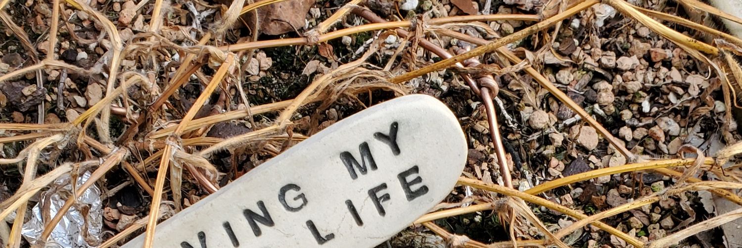 Shoesaroo's profile banner image
