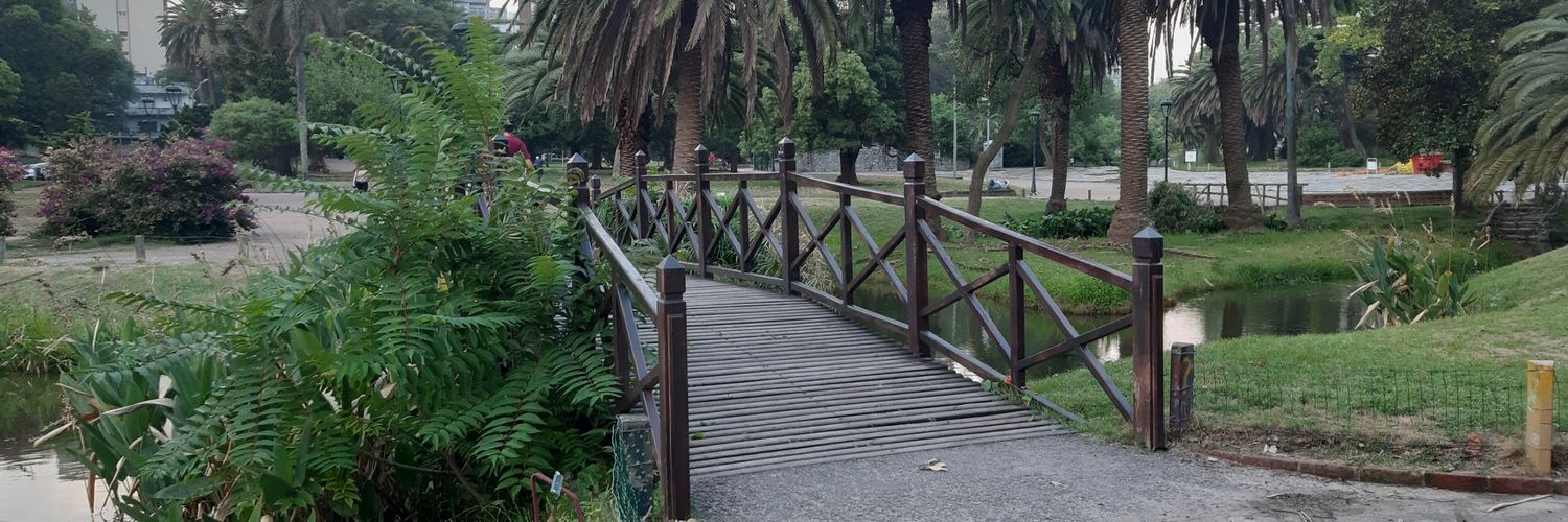 cerenario's profile banner image