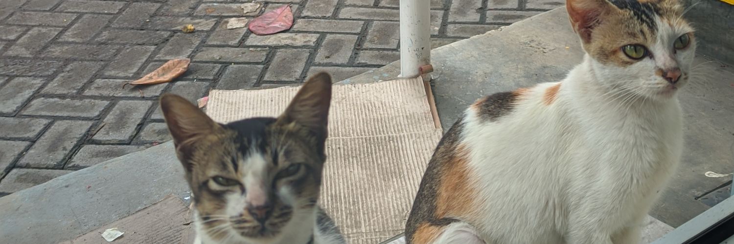 MIqdamS's profile banner image