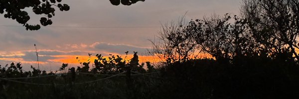 samuelazout Profile Banner
