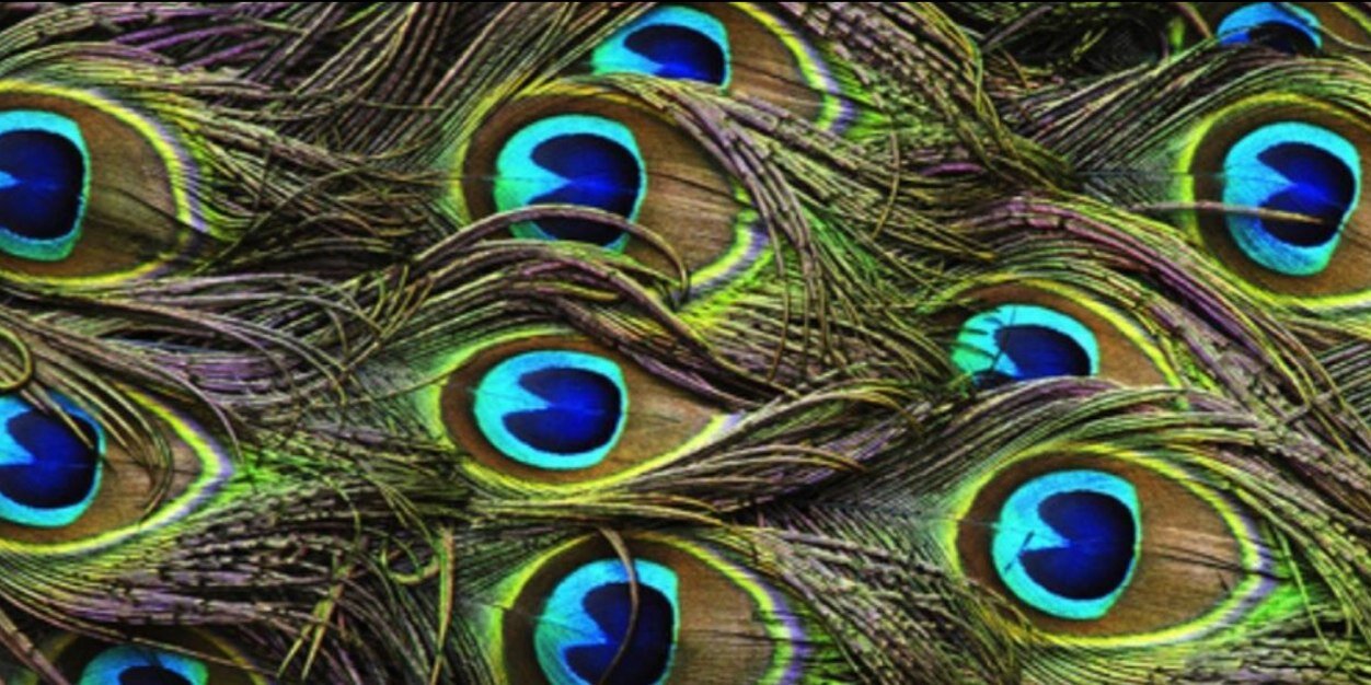 ItsKellsBells's profile banner image