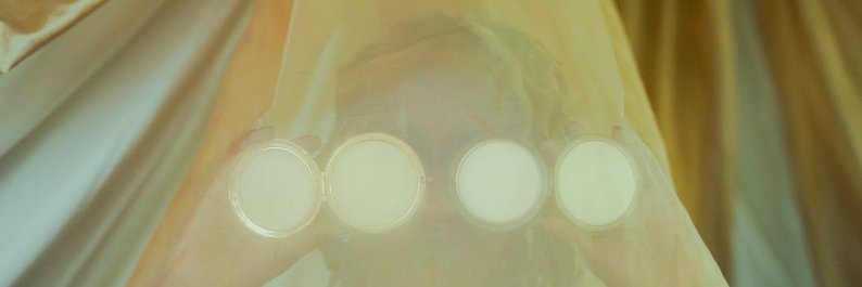 FreeQThaMighty's profile banner image