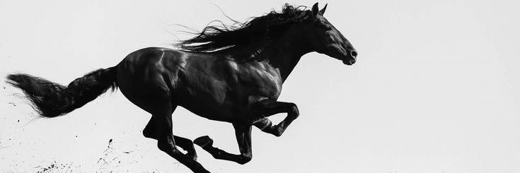 Riley Rosebee banner