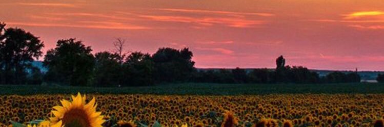 Bri_Vogel's profile banner image