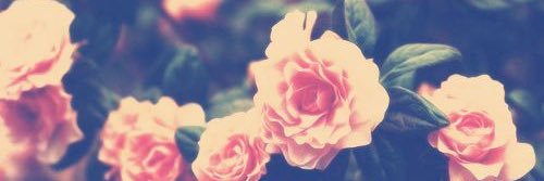 ThatWifeChick's profile banner image