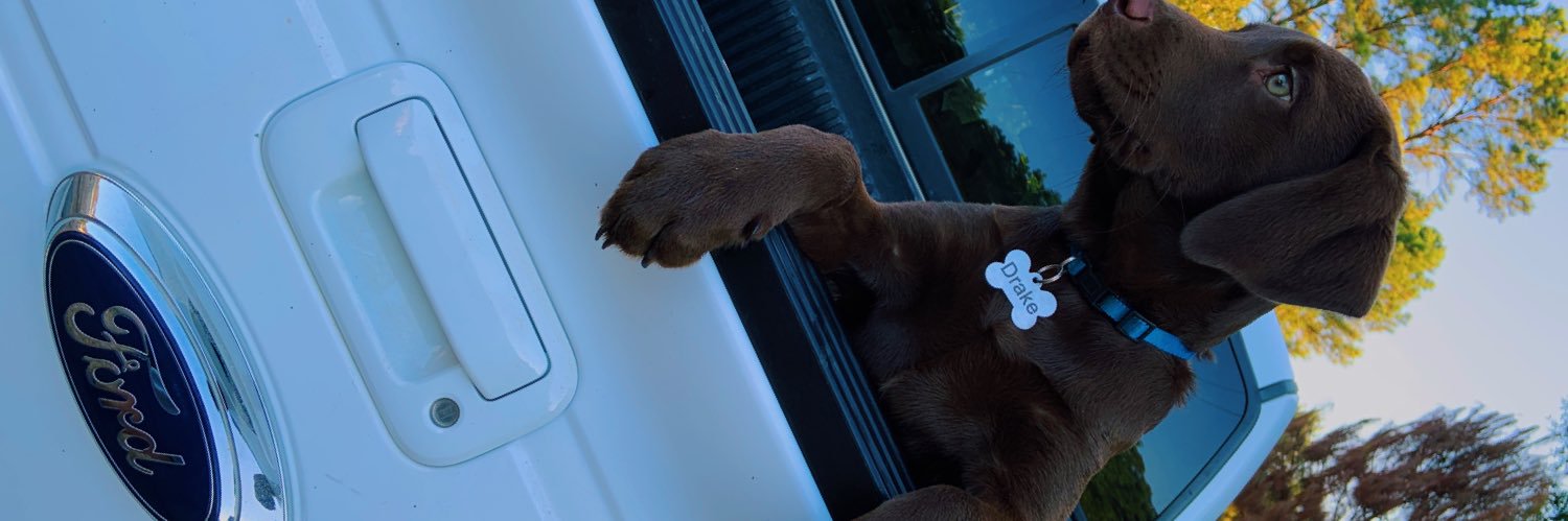 Forrest_009's profile banner image