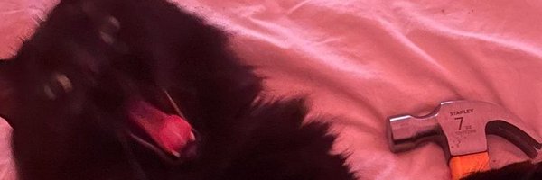 ssdnt95 Profile Banner