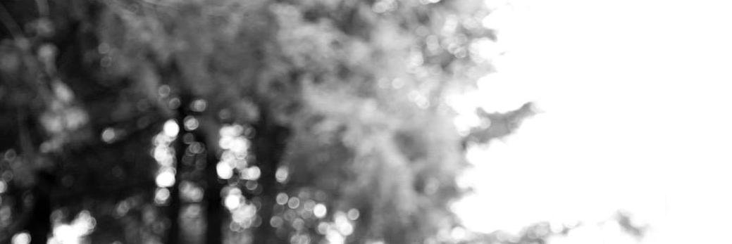 juanecliptic's profile banner image