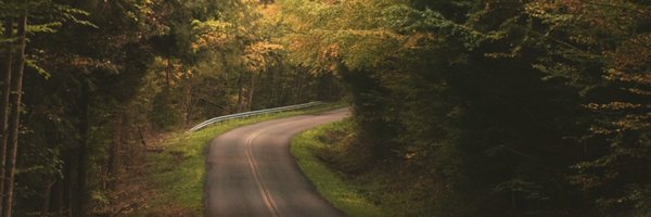 Bizjunview Profile Banner