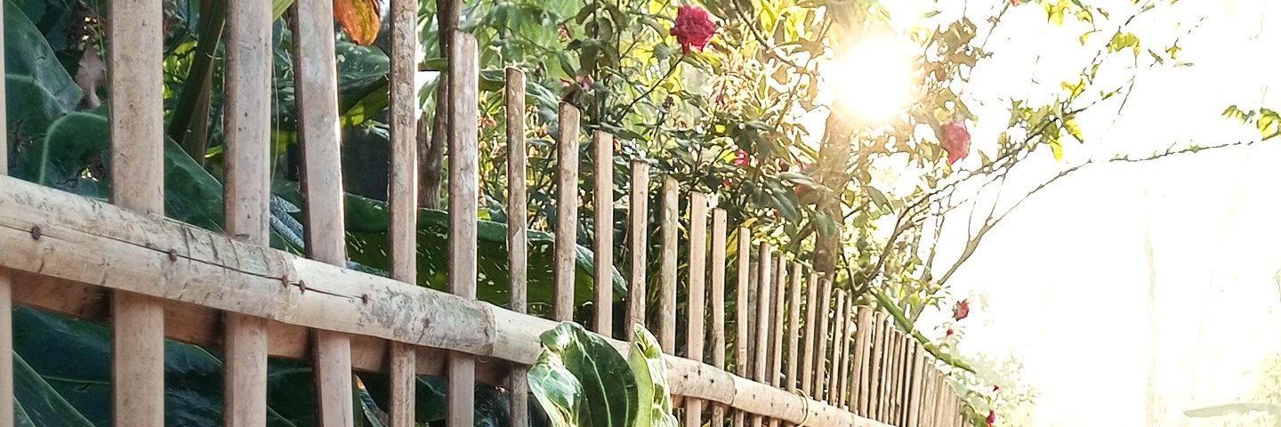 afifsfddn's profile banner image