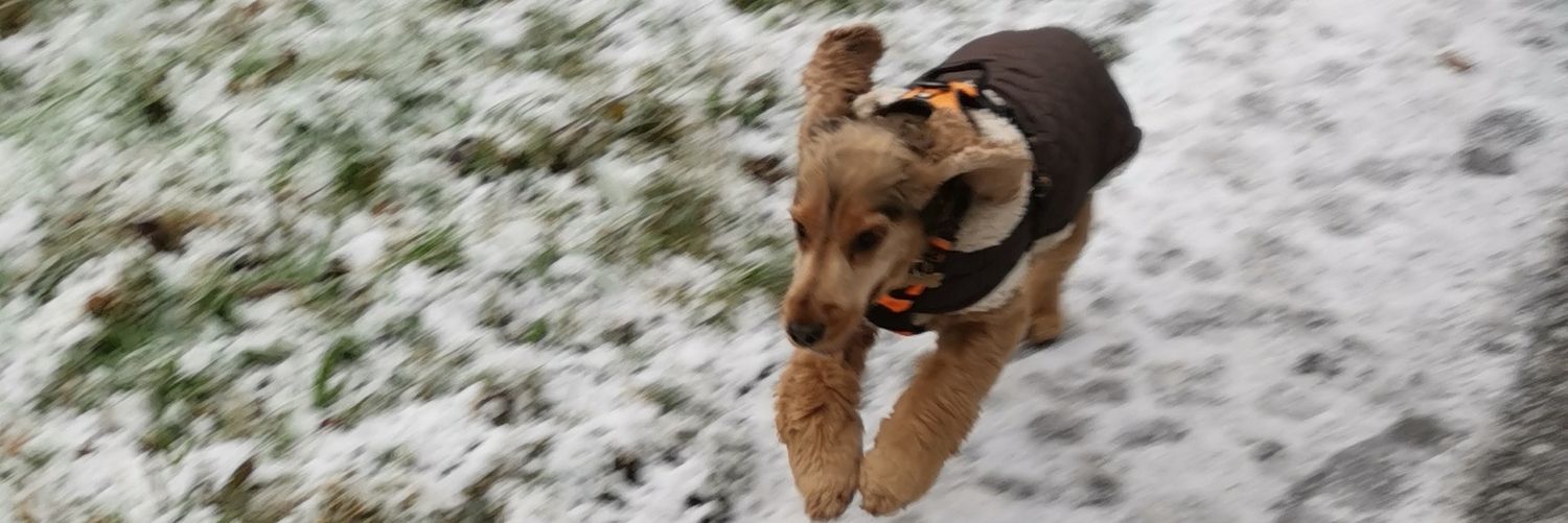 Chris Beddows banner