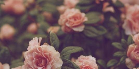 lorenaea_'s profile banner image