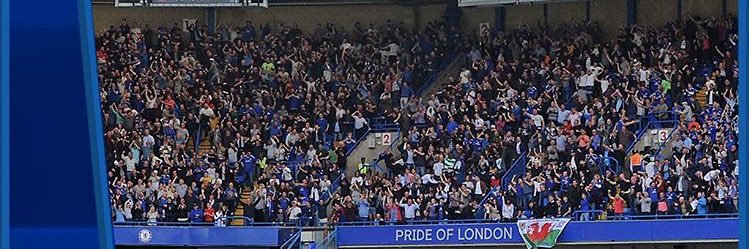 Alex Turner✌ banner