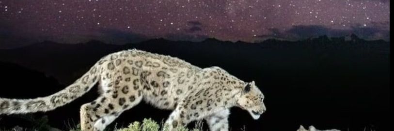 NjRobey's profile banner image