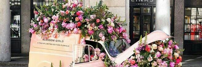 rddenisa's profile banner image