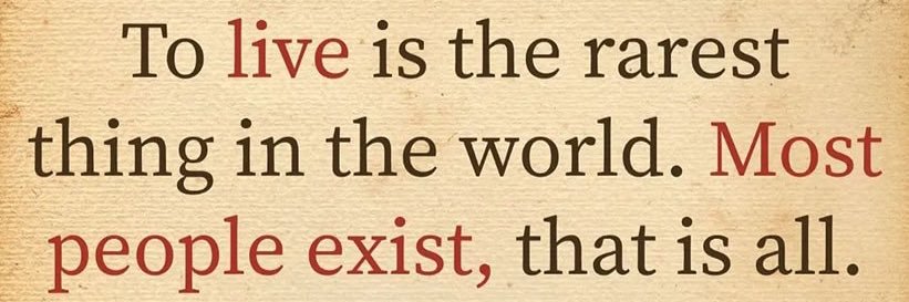 Jennifer Walsh🇮🇪☘️ banner