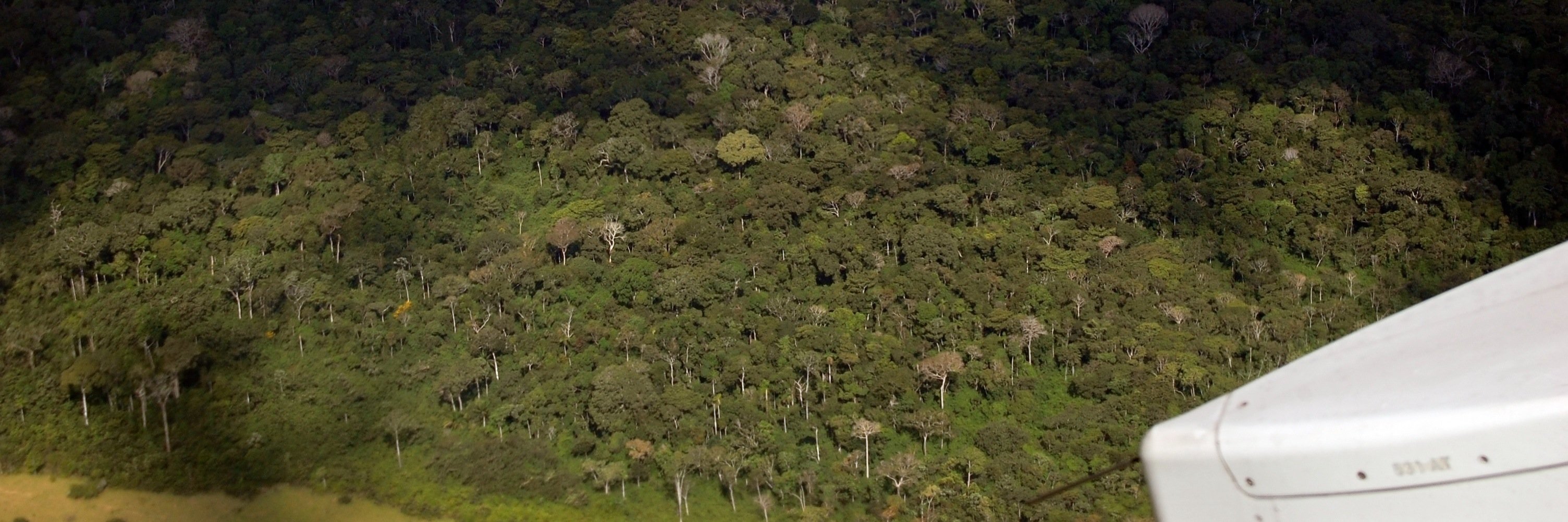 Dr. Abigail Swann, PhD banner