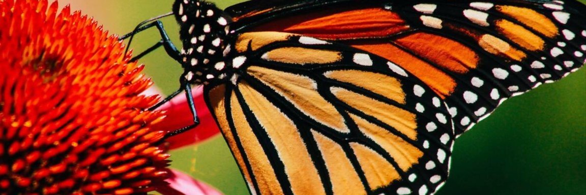 JMR_putri's profile banner image
