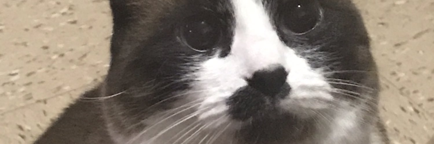 Andyxcrunner's profile banner image