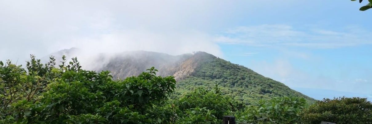 RodToval's profile banner image