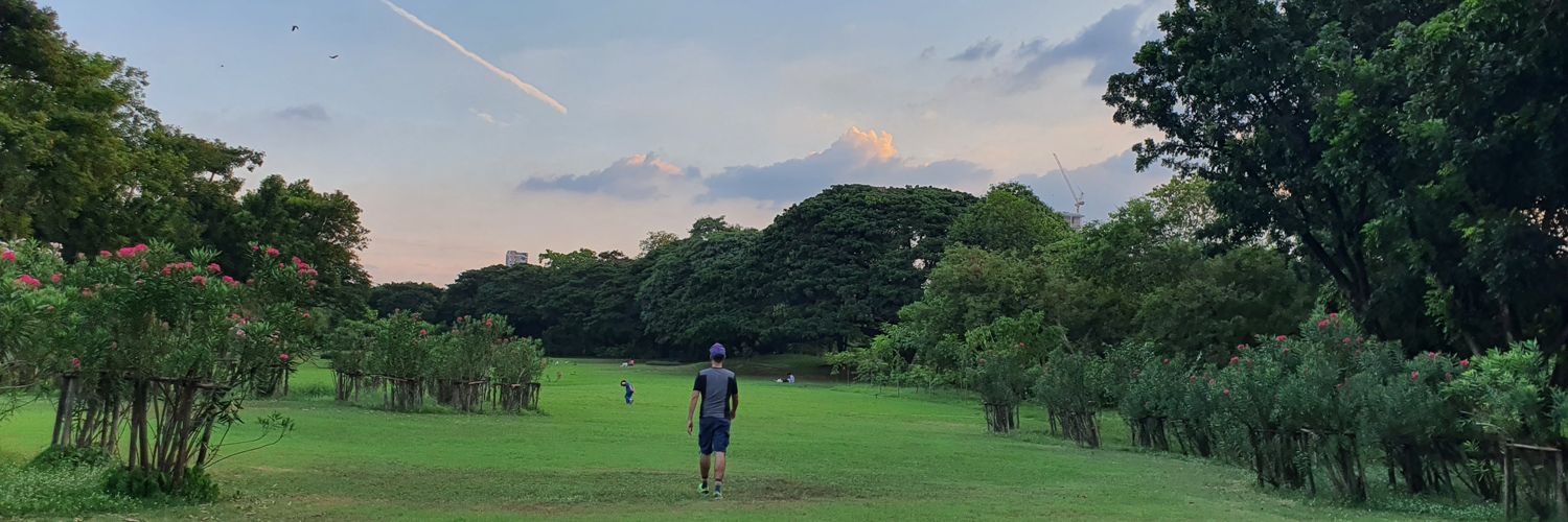 White Angelina banner