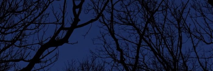 arbor_natrium's profile banner image
