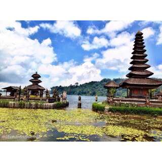 FIFI PUSPITA SARI banner