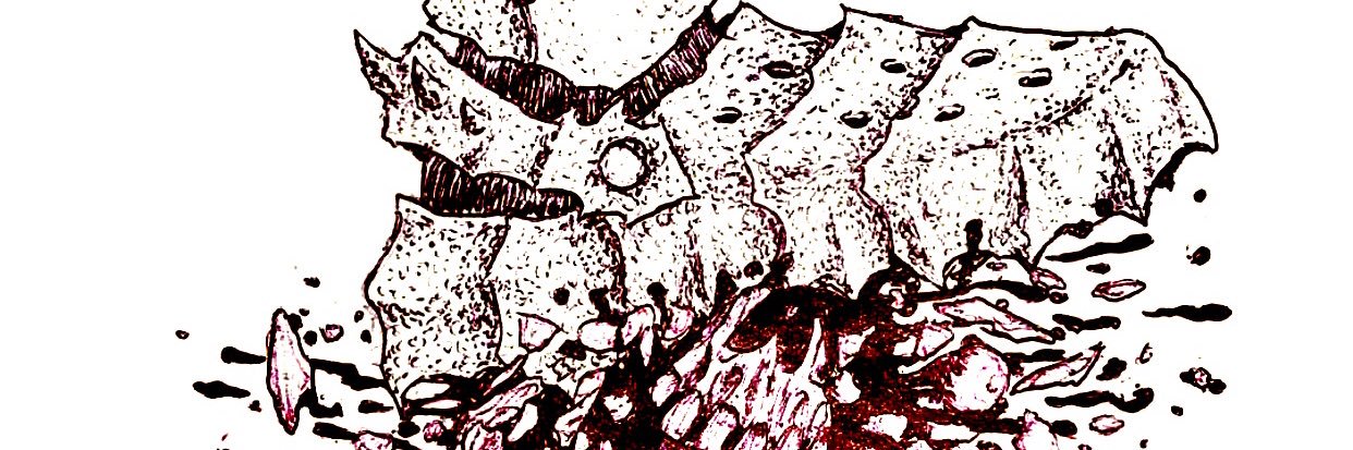 ExaltedRiffs's profile banner image
