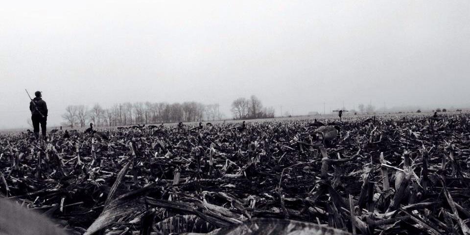 sawbones33's profile banner image