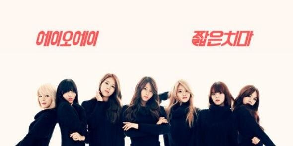 AOA INDONESIA banner