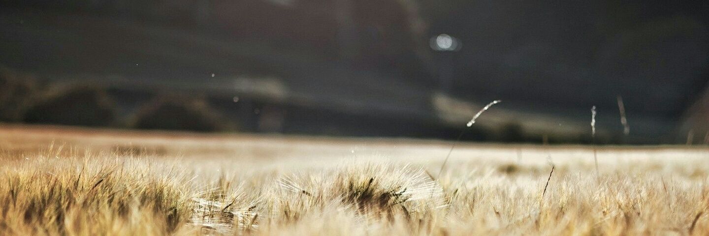 natsusanto's profile banner image