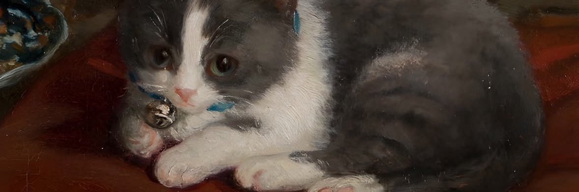 sandiercheeks's profile banner image