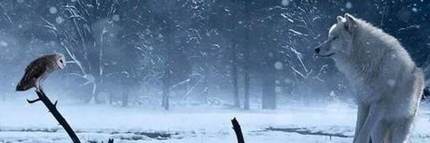 atescch's profile banner image